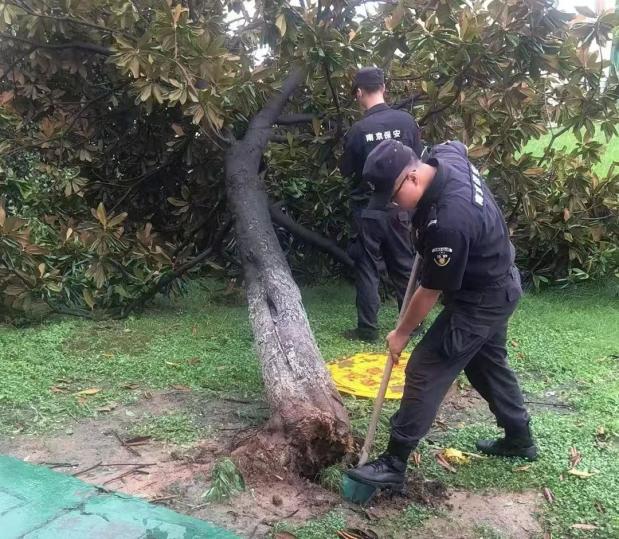 C:/Users/BA/Desktop/風雨過后南京保安迅速行動，恢復(fù)安“寧”面貌/10.jpg10