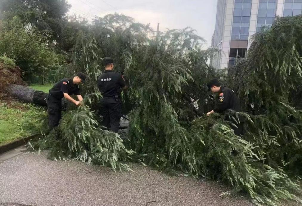 C:/Users/BA/Desktop/風雨過后南京保安迅速行動，恢復(fù)安“寧”面貌/1.jpg1